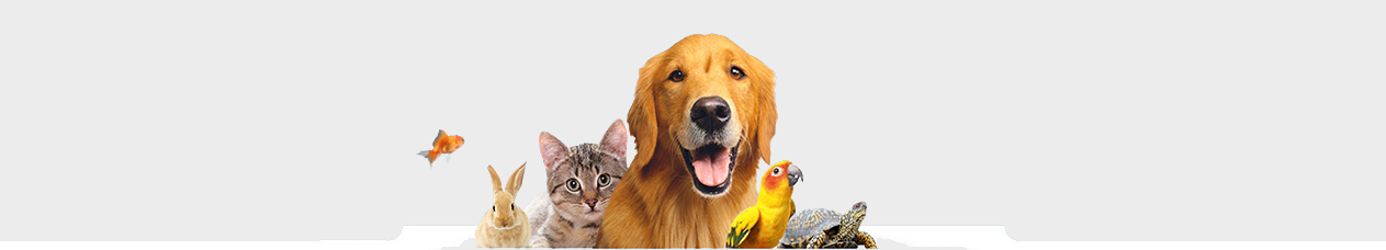 banner_839ab468